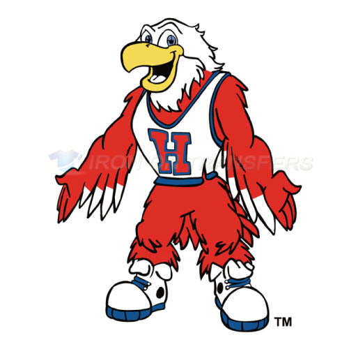 Hartford Hawks Logo T-shirts Iron On Transfers N4535 - Click Image to Close
